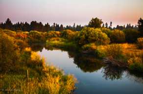 Little Deschutes River 2-8479